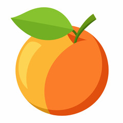 orange fruit vector illustration