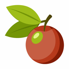 apple with leaf