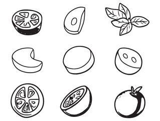 Hand drawn mozzarella cheese in line art vector style