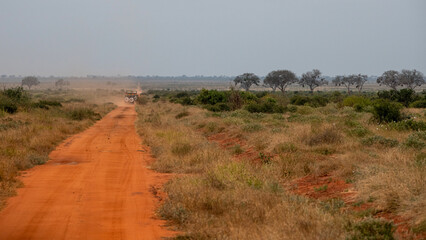 gruntowa droga biegnącą przez sawannę a parku narodowym Tsavo Est w Kenii