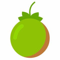 vector illustration of an apple