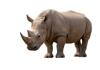 Gardinen Nashorn Powerful White Rhinoceros: Majestic Wildlife Image transparent background  © mahboob