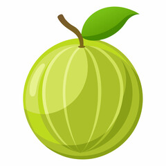 melon isolated on white background