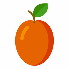 vector illustration of an orange