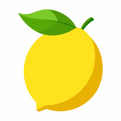 vector illustration of an apple