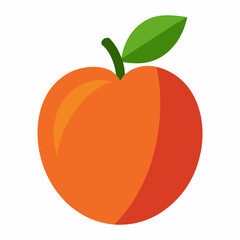 vector illustration of an apple