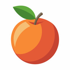 vector illustration of an apple
