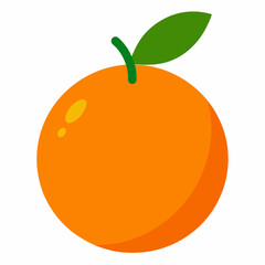 orange fruit vector illustration