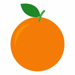 orange fruit vector illustration