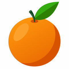 vector illustration of an orange