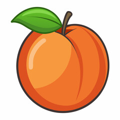 vector illustration of an orange fruit