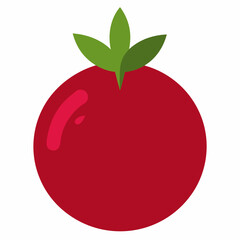 red apple vector illustration