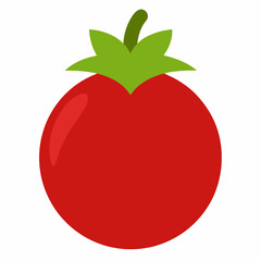 vector illustration of an apple