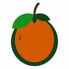 vector illustration of an orange