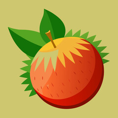 vector illustration of an orange