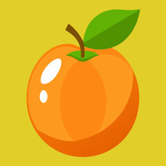 vector illustration of an orange