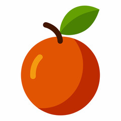 vector illustration of an orange fruit