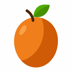 vector illustration of an orange fruit