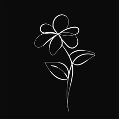 Elegant Minimalist White Flower Line Art on Black Background