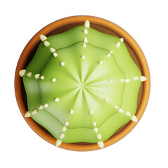 3D Cactus in Pot Top View