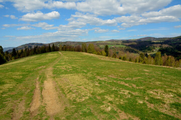 Naklejka premium Hala w Beskidzie Śląskim