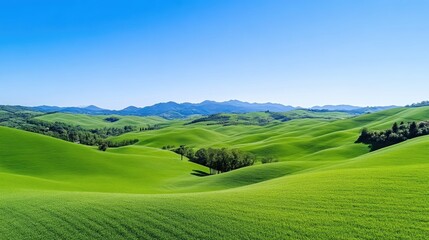 Fototapeta premium Rolling green hills under clear blue sky
