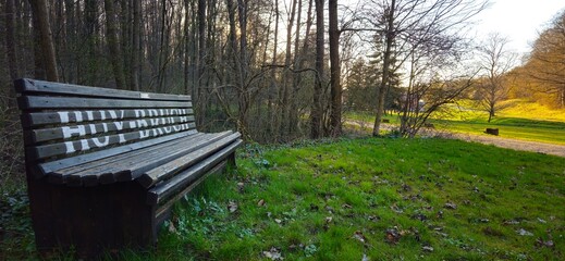 Bank lädt zum Verweilen ein, Wilhelmshall, Anderbeck, Huy, Sachsen-Anhalt im Frühling