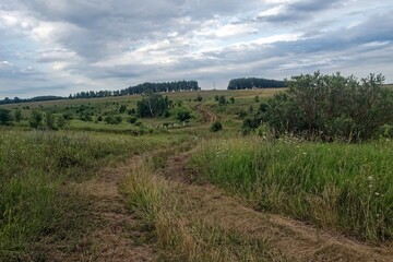 Fototapeta premium Dirt road in the countryside on a cloudy day