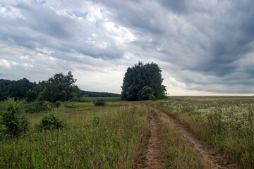 Dirt road in the countryside on a cloudy day