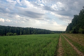 Obraz premium Dirt road in the countryside on a cloudy day