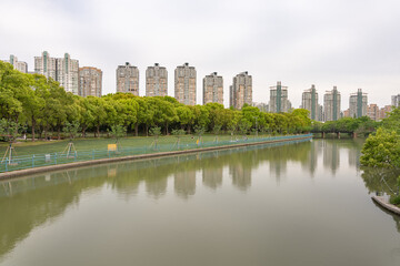 Naklejka premium Skyscrapers buildings on river shore in park, Shanghai, day