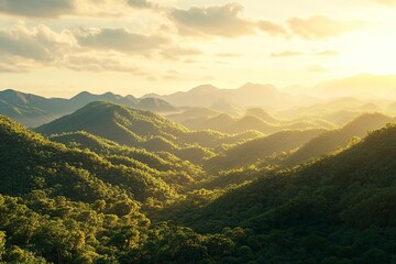 Fototapeta premium A beautiful view of green mountains and sky in Thailand, during the golden hour, with trees and tea plantations. Photorealistic, high-resolution. 
