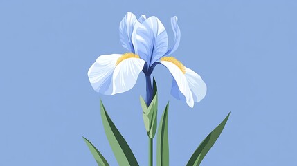 Fototapeta premium Light Blue Iris Flower Illustration.