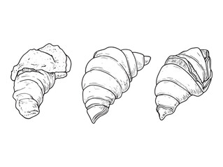 Intricate line art of Sfogliatella pastry with delicate details