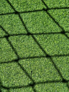grass field with net shadow