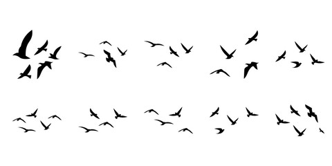 Flying Birds Silhouette