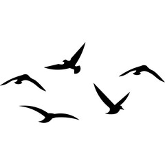 Flying Birds Silhouette