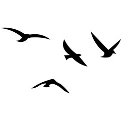 Flying Birds Silhouette