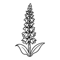 botanical silhouette of snapdragon flower stem vector illustration