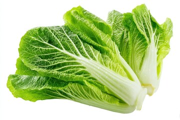 Fresh Napa Cabbage: Vibrant Green Leaves, Crisp Texture, Studio Still Life