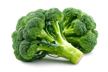 Vibrant Green Broccoli: A Fresh and Crisp Photographic Study