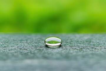 Captivating water droplet glimmering on surface nature scene macro photography lush green background