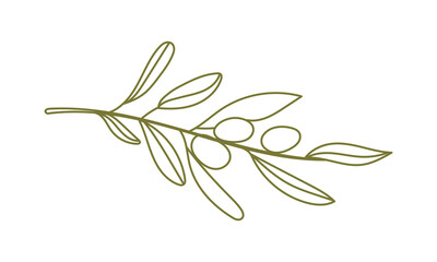 Olives Line Drawing. Green e Olive Frame. Olive Wreath Isolated. Floral Line Art. Fine Line Olive illustration. Black and white Olive Branches. Hand Drawn Olives. Wedding invitation greenery
