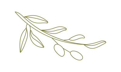 Olives Line Drawing. Green e Olive Frame. Olive Wreath Isolated. Floral Line Art. Fine Line Olive illustration. Black and white Olive Branches. Hand Drawn Olives. Wedding invitation greenery
