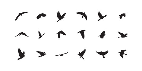 Fototapeta premium Flying birds silhouette vector illustration set isolated on white background