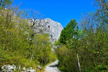 Rock cliff rising above the trail in the forest in Paklenica national park in Croatia