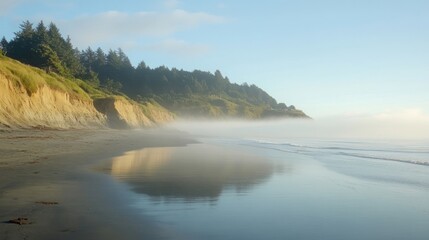Obraz premium Misty Morning Coastal Scene: Serene Beachscape with Fog Rolling In