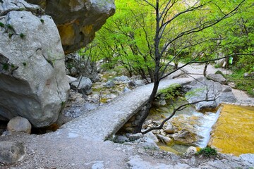 Stone bridge across a stream and trees in green foliagein Paklenica national park, Croatia