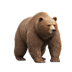 Fototapeta premium Majestic Grizzly Bear Powerful Brown Bear Standing Wild Animal Portrait Nature Photography