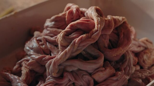 Cleaned pig tripe tightly braided after cornmeal scrubbing in northern Portuguese tradition